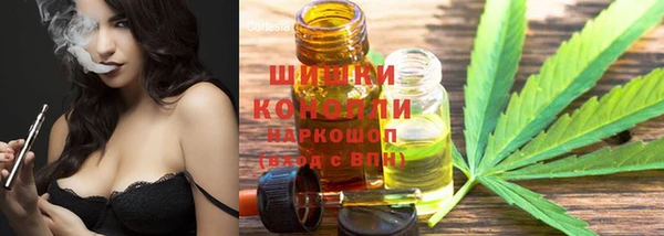 сатива Бронницы