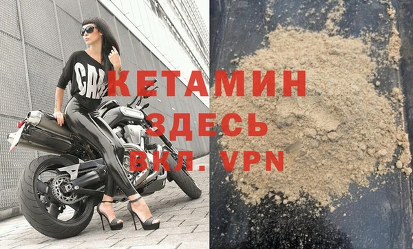 сатива Бронницы