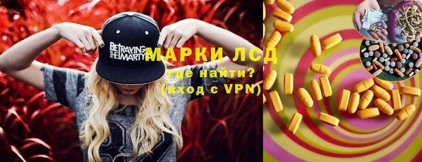 сатива Бронницы