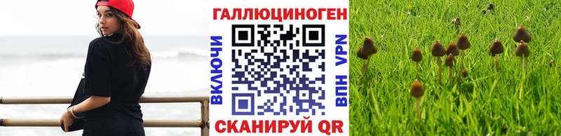 Галлюциногенные грибы Psilocybe  нарко площадка Telegram  Миллерово 